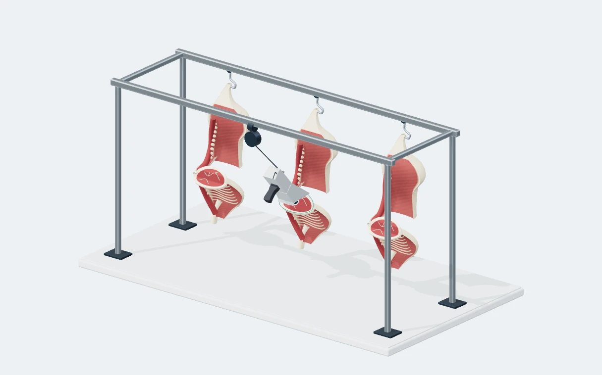 Suspended optical device at the carcass inspection point