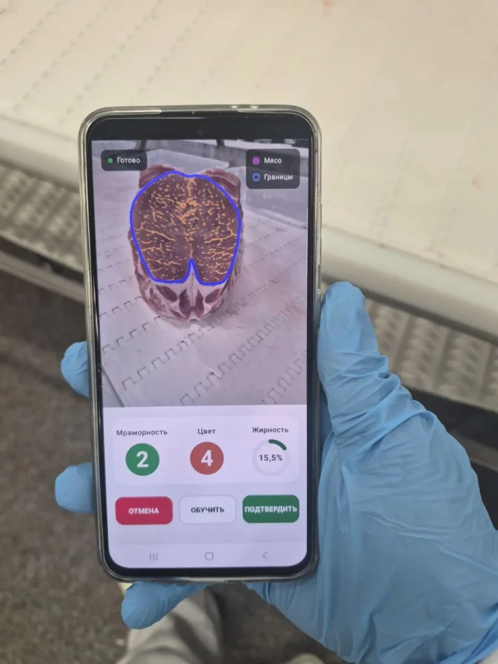 Operator holding a phone with the real MarbScan analysis in a production area
