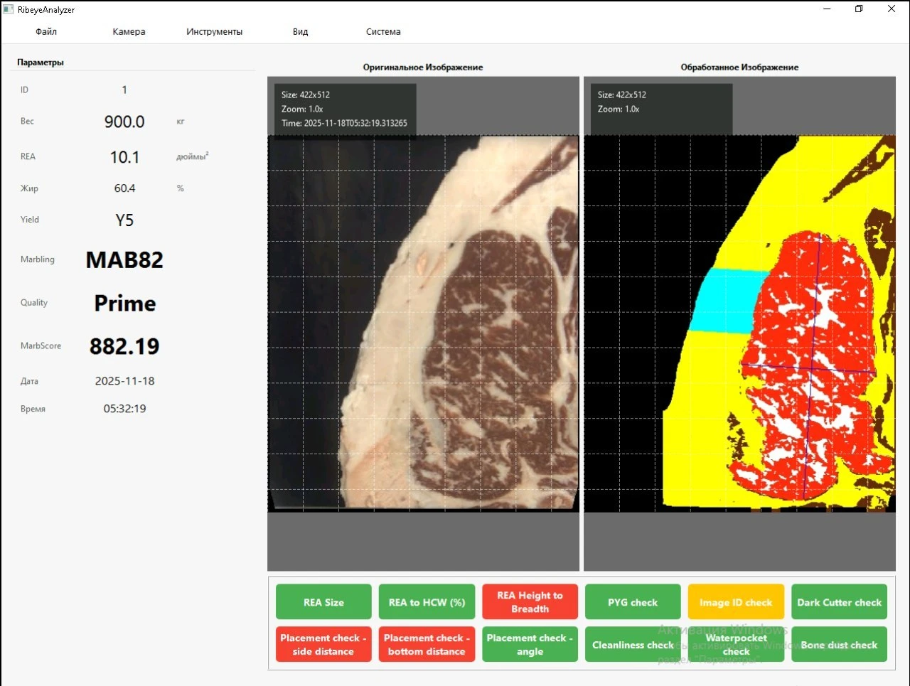 Real RibeyeAnalyzer interface with the captured image and segmentation result